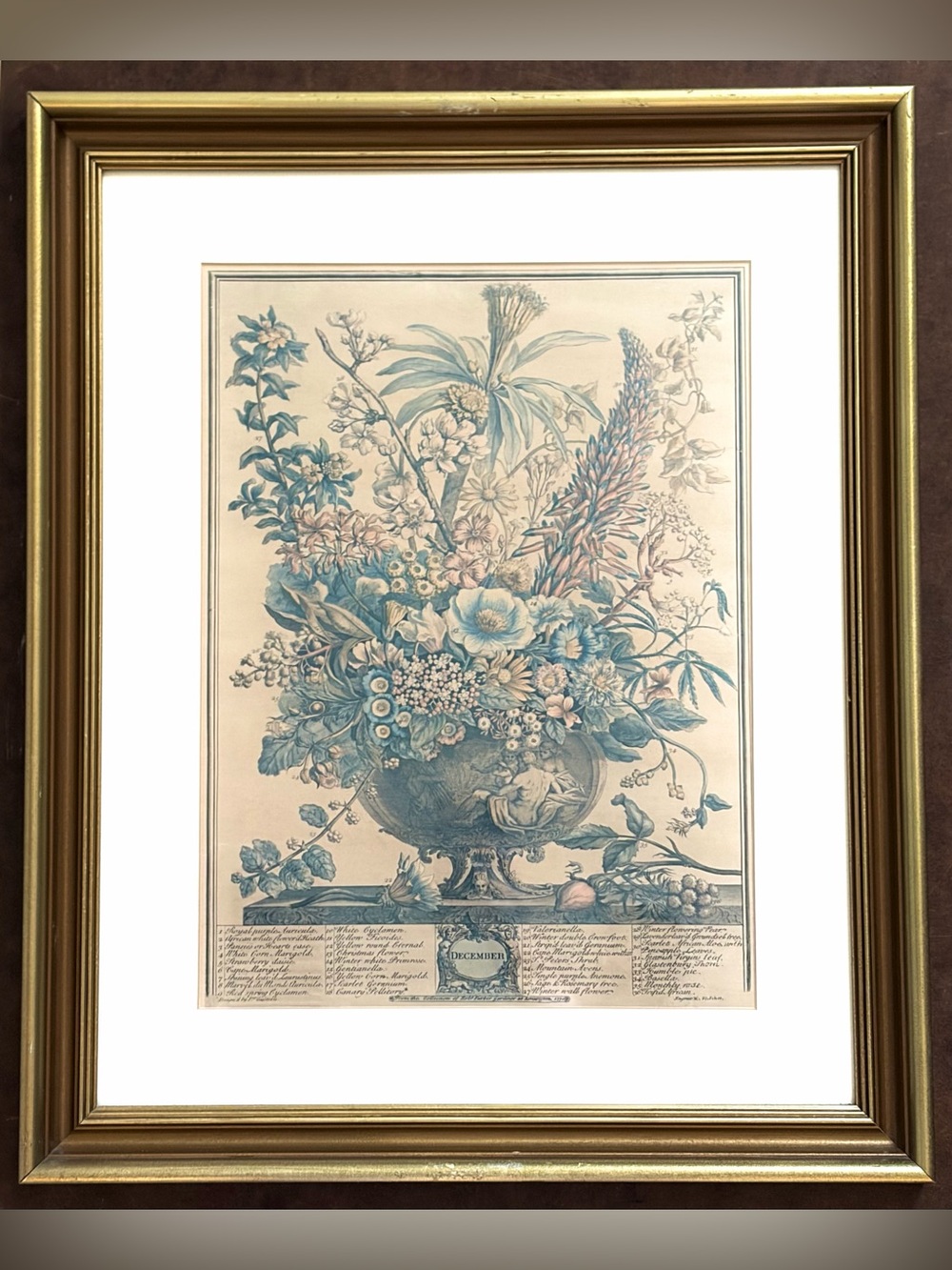Vintage-  Print of "December" from Robert Furber's "Twelve Months of Flowers”